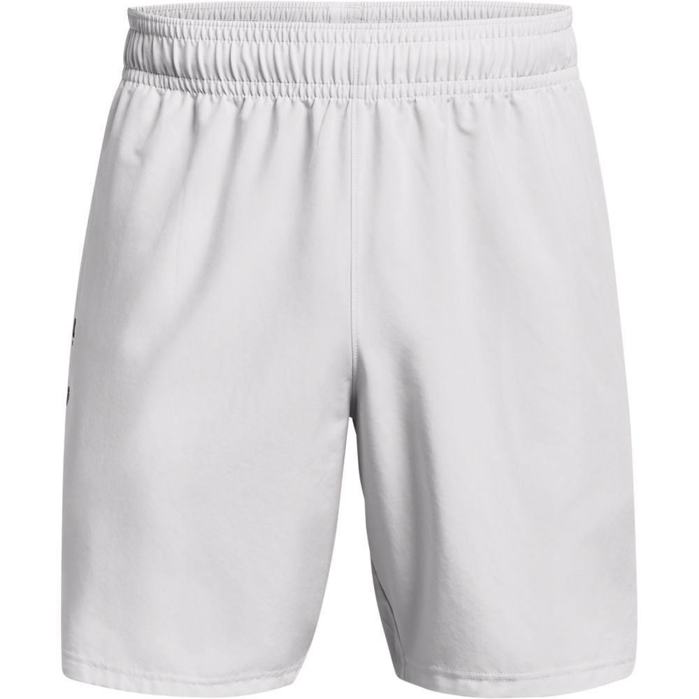 UA Woven Wdmk Shorts