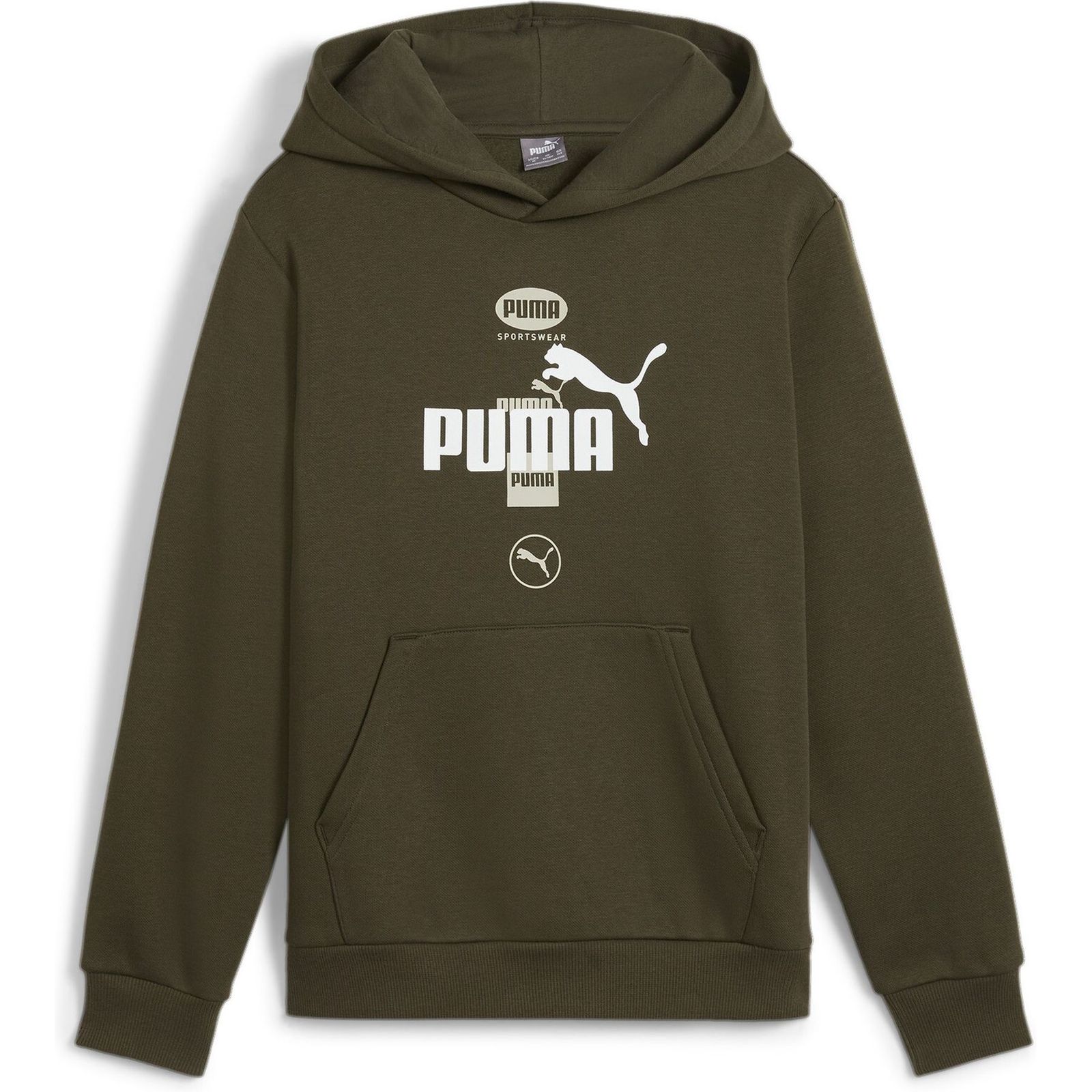 PUMA POWER Graphic Hoodie FL B