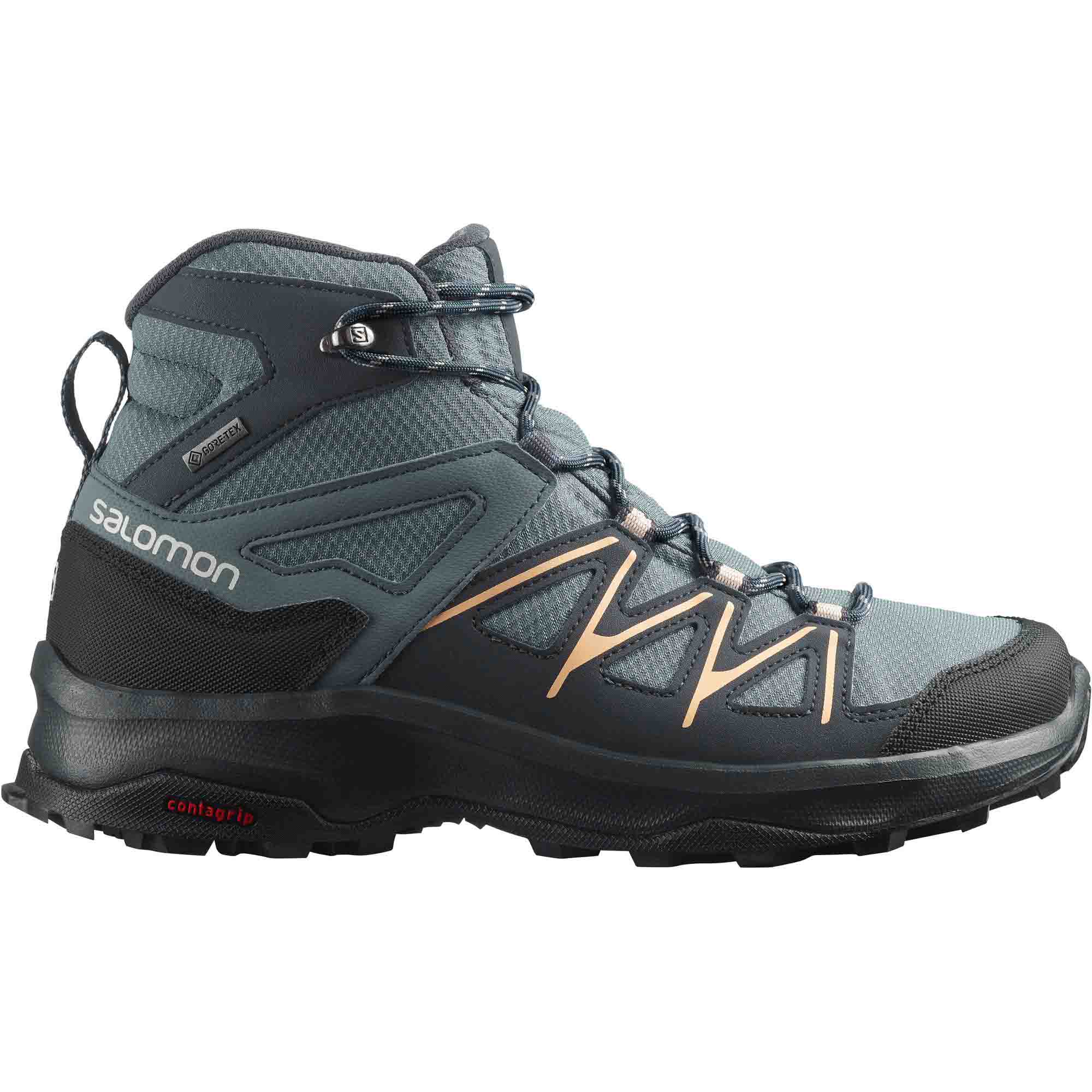 DAINTREE MID GTX W