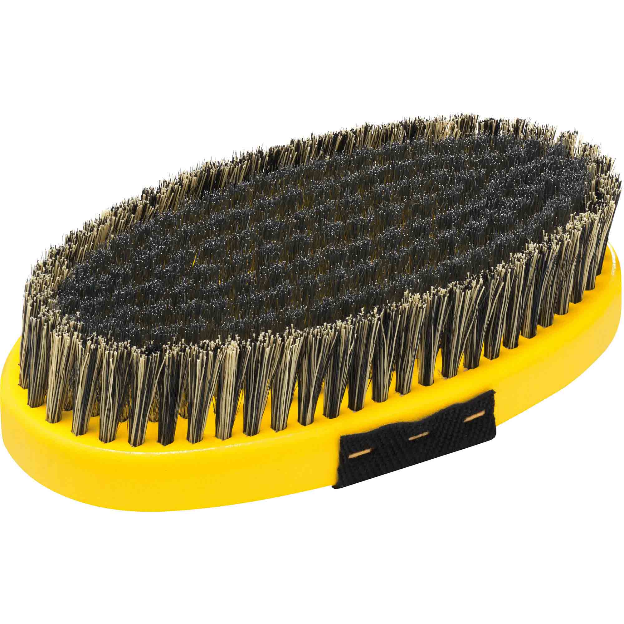 Base Brush oval