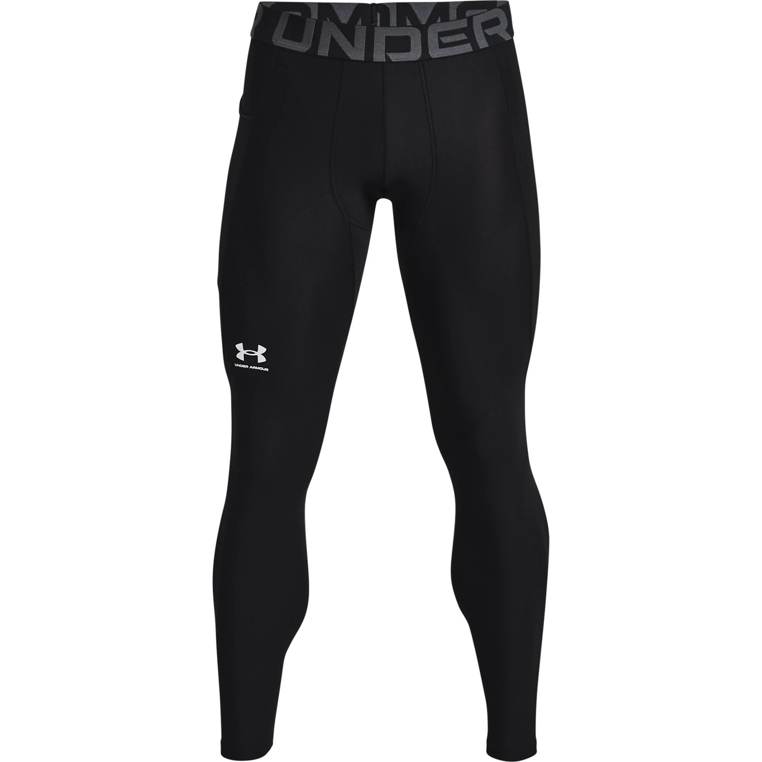 UA HG Armour Leggings