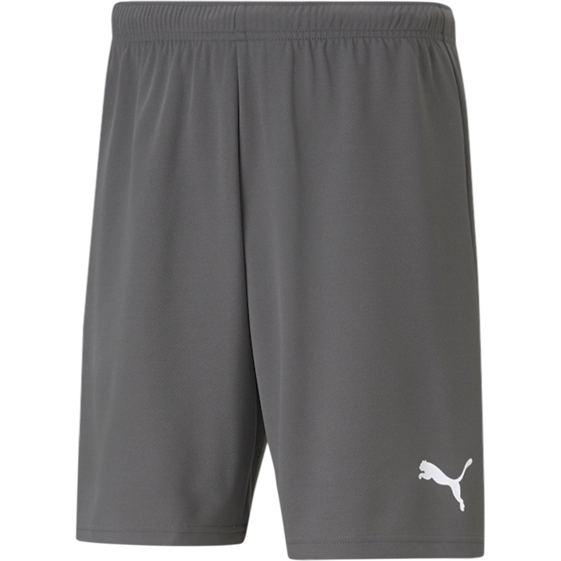 teamRISE Shorts